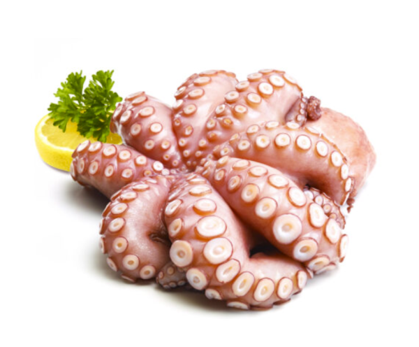 Chobotnice Celá, 2000-2500g