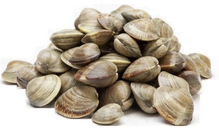 Škeble celá skořápka, 1 kg