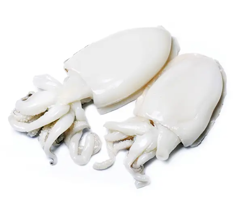 Seppia Pulita 20 / 40 IQF. 0,8 kg.