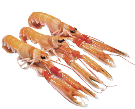 Scampi Interi 13 / 16. 0,75 kg.